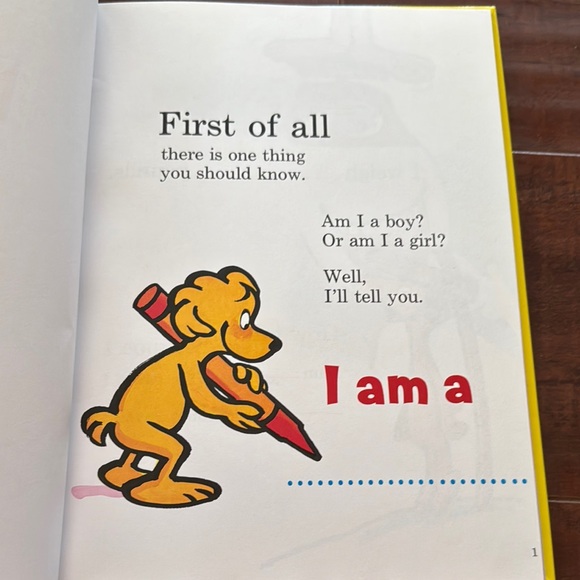 Girls Activity Books- Dr. Seuss About Me, Lalaloopsy, Princess, Hello Kitty - Picture 14 of 16